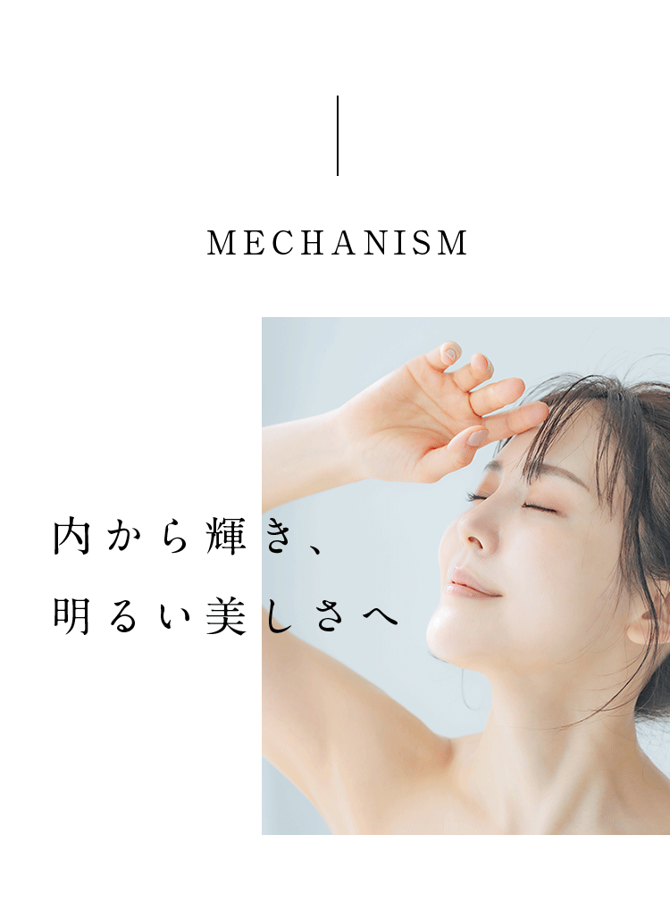 MECHANISM 内から輝き、明るい美しさへ