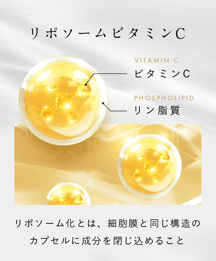 リポソームビタミンC VITAMIN C ビタミンC Phospholipid リン脂質 リポソーム化とは、細胞膜と同じ構造のカプセルに成分を閉じ込めること
