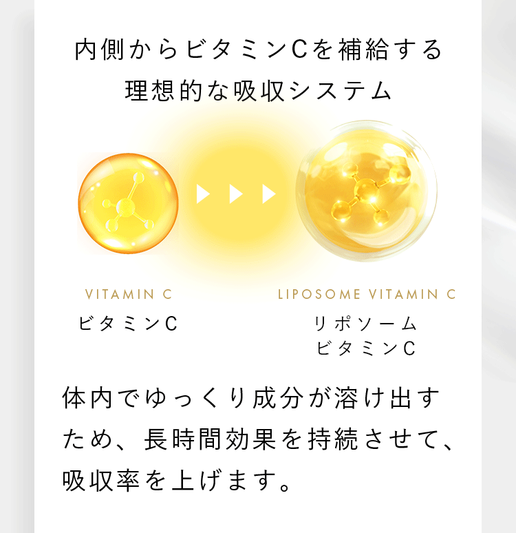 内側からビタミンCを補給する理想的な吸収システム VITAMIN C ビタミンC liposome VITAMIN C リポソームビタミンC 体内でゆっくり成分が溶け出す ため、長時間効果を持続させて、 吸収率を上げます。