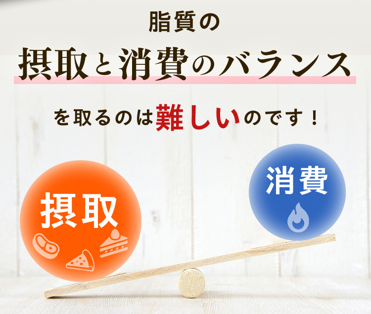 脂質の摂取と消費のバランス を取るのは難しいのです！ 摂取 消費