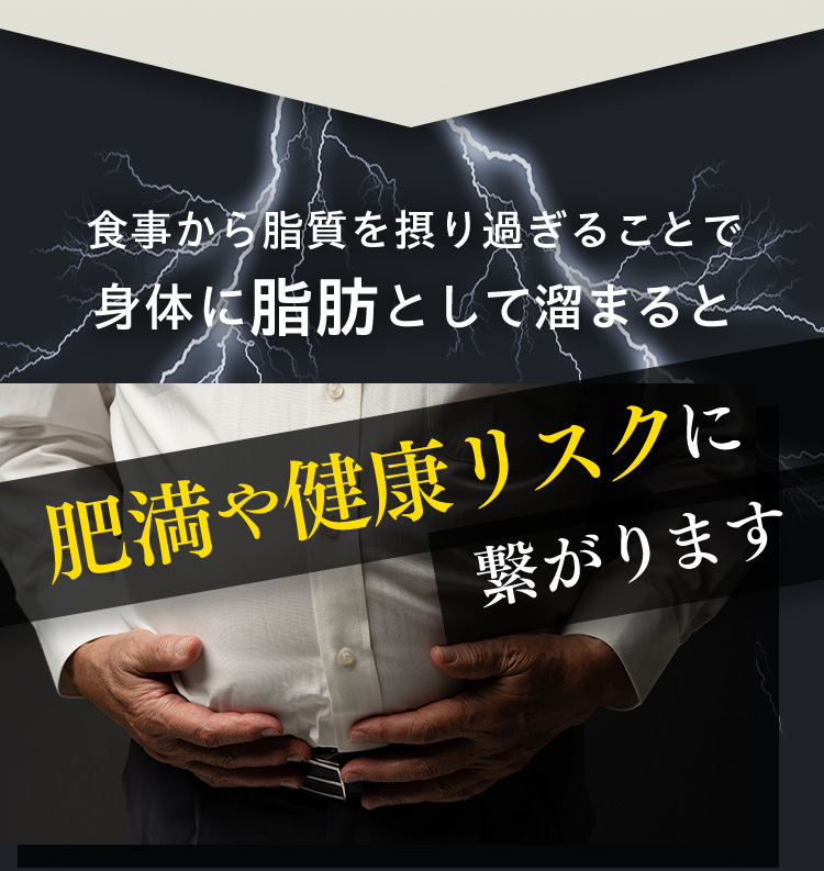食事から脂質を摂り過ぎることで身体に脂肪として溜まると 肥満や健康リスクに繋がります