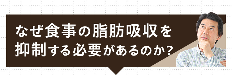 なぜ食事の脂肪吸収を抑制する必要があるのか？