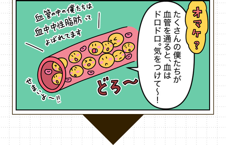 中性脂肪が溜まるしくみ