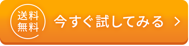 送料無料 今すぐ試してみる