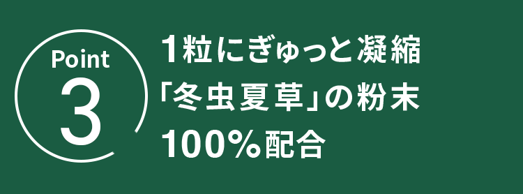 POINT.3 1粒にぎゅっと凝縮「冬虫夏草」の粉末100%配合
