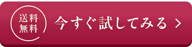 送料 無料 今すぐ試してみる