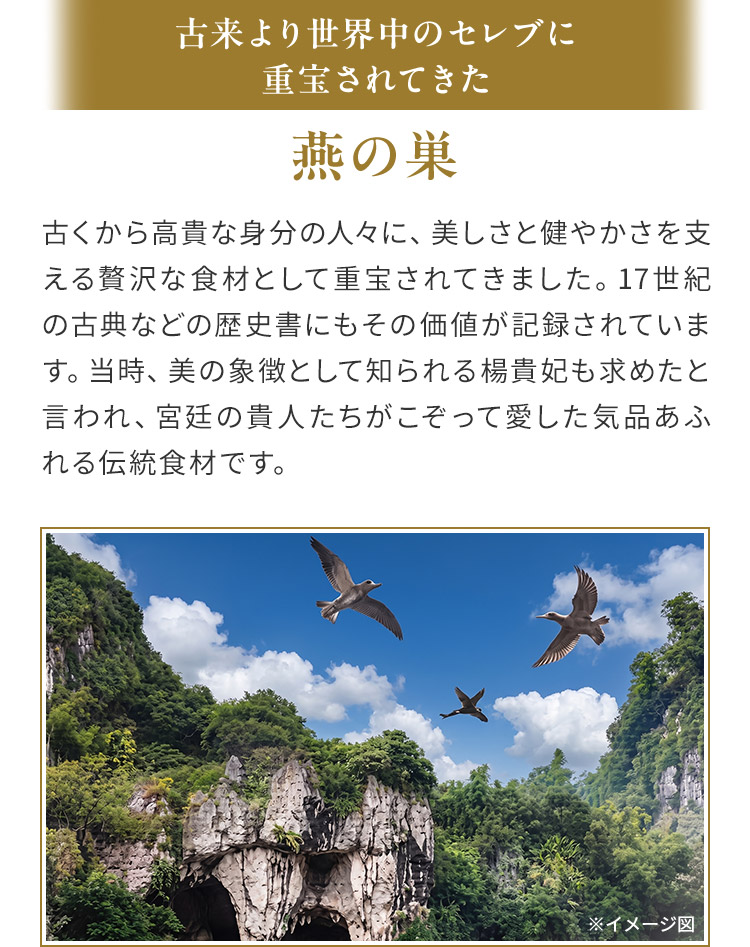 古来より世界中のセレブに 重宝されてきた燕の巣