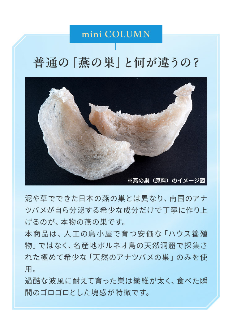 mini COLUMN 普通の「燕の巣」と何が違うの？
