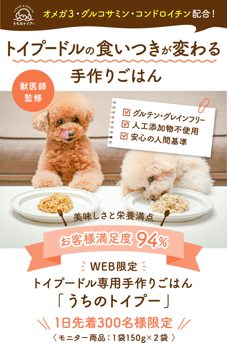 トイプードル専用手作りごはん うちのトイプー 500円モニター募集