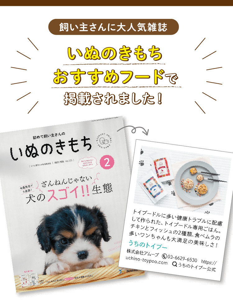 トイプードル専用手作りごはん うちのトイプー